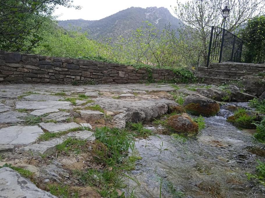 Alojamientos Sierra De Cadiz Benamahoma Bagian luar foto