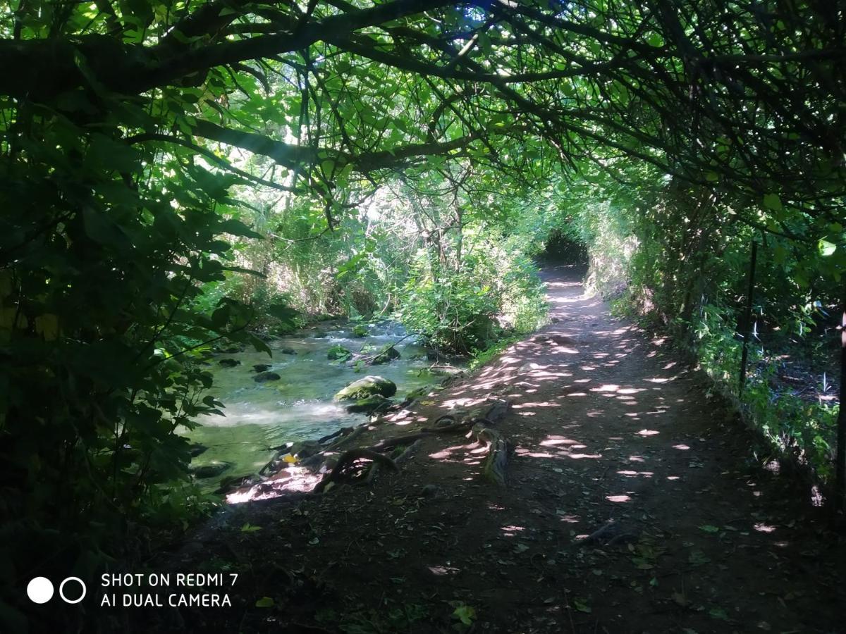 Alojamientos Sierra De Cadiz Benamahoma Bagian luar foto