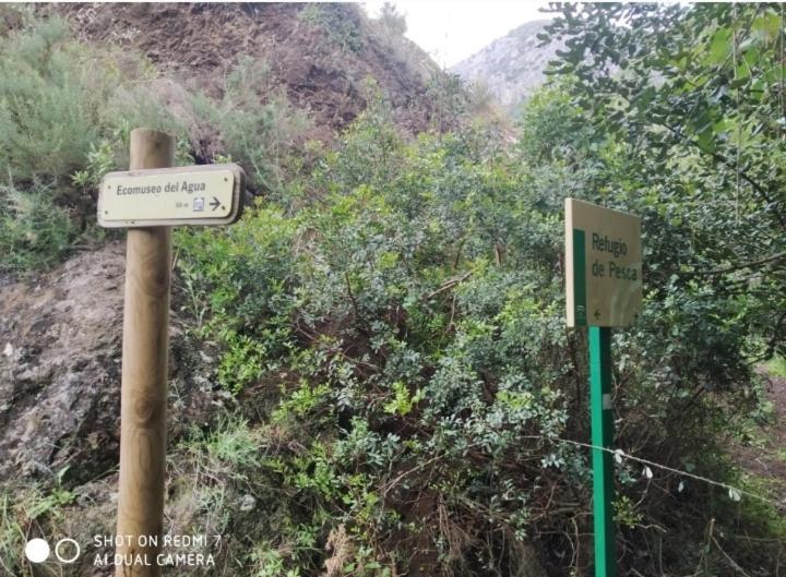 Alojamientos Sierra De Cadiz Benamahoma Bagian luar foto