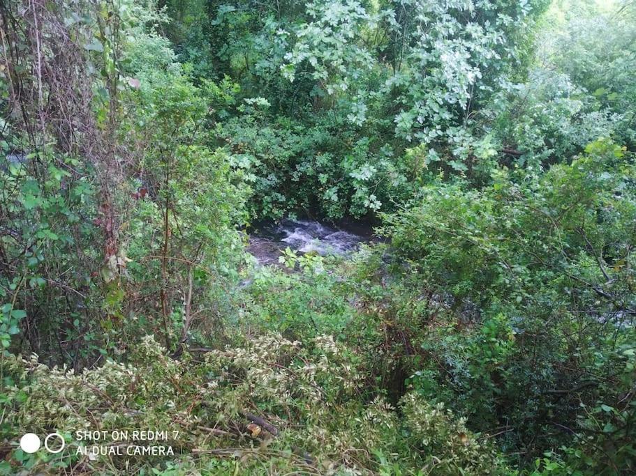 Alojamientos Sierra De Cadiz Benamahoma Bagian luar foto